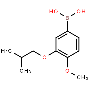 3-Isobutoxy-4-methoxyphenylboronic acid