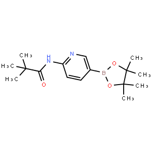 6-新戊酰氨基吡啶-3-硼酸频哪醇酯
