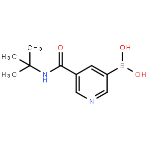 5-(tert-Butylcarbamoyl)pyridine-3-boronic acid