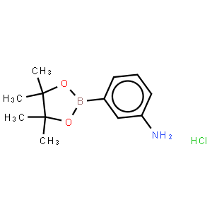 4-Aminophenylboronic acid, pinacol ester, HCl