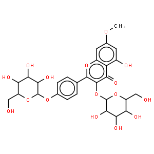 6''-丙二酸沙苑子苷单酯