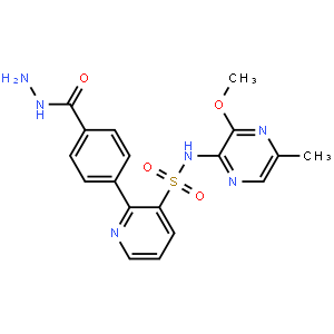 2-(4-(Hydrazinecarbonyl)phenyl)-N-(3-methoxy-5-methylpyrazin-2-yl)pyridine-3-sulfonamide
