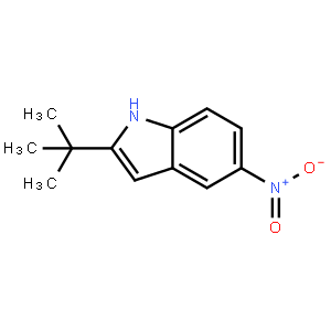 2-(tert-Butyl)-5-nitro-1H-indole