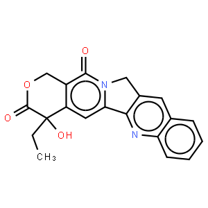 Camptothecine
