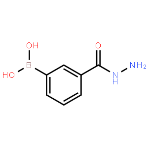 3-(Hydrazinocarbonyl)benzeneboronic acid
