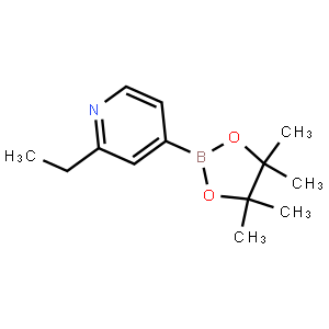 2-Ethyl-4-(4,4,5,5-tetramethyl-1,3,2-dioxaborolan-2-yl)pyridine