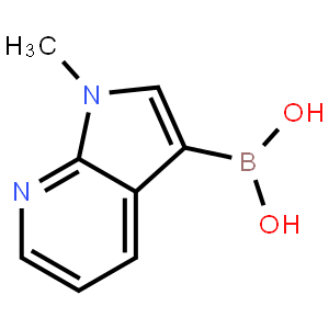 1-Methyl-1H-pyrrolo[2,3-b]pyridine-3-boronic acid