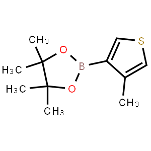 4-Methylthiophene-3-boronic acid pinacol ester