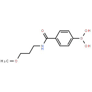 4-(3-Methoxypropylcarbamoyl)benzeneboronic acid