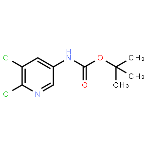 3-(Boc-amino)-5,6-dichloropyri