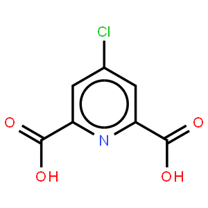 12β-acetoxycoccinic acid