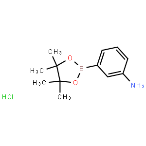 3-Aminobenzeneboronic acid pinacol ester hydrochloride