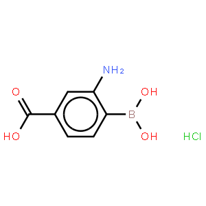 2-Amino-4-carboxybenzeneboronic acid hydrochloride