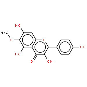 6-甲氧基山柰酚-3-O-芸香糖苷