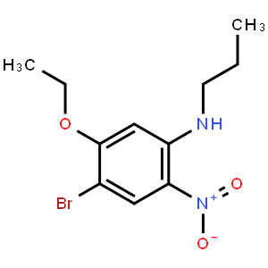 4-Bromo-5-ethoxy-2-nitro-N-propylaniline