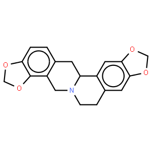 Tetrahydrocoptisine