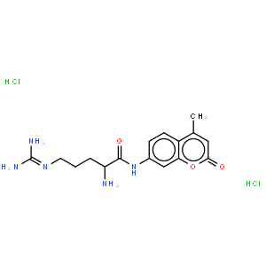 L-Arginine 7-amido-4-methylcoumarin dihydrochloride