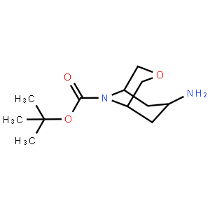 endo-tert-Butyl 7-amino-3-oxa-9-azabicyclo[3.3.1]nonane-9-carboxylate