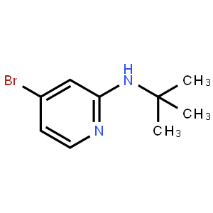 4-溴-2-(N-叔丁氨基)吡啶