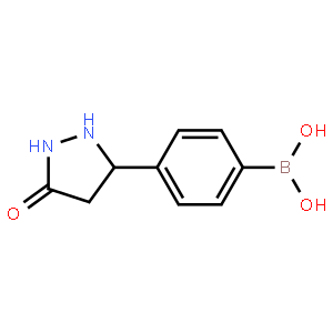 4-(5-Oxo-3-pyrazolidinyl)benzeneboronic acid