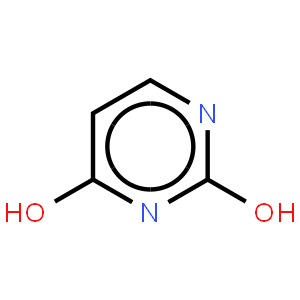 Transcriptor Reverse Transcrip