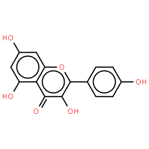 山柰酚-3-槐二糖-7-鼠李糖苷