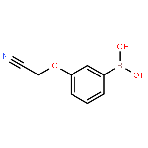 3-Cyanomethoxyphenylboronic acid