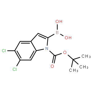 1-Boc-5,6-dichloro-1h-indole-2-boronic acid