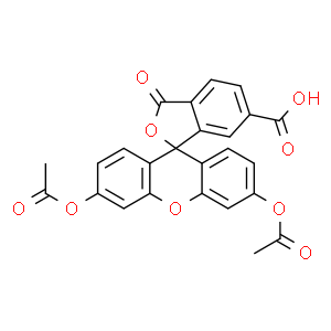 6-羧基荧光素二醋酸