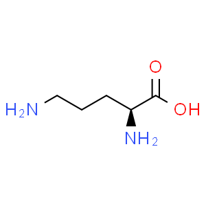 L-鸟氨酸
