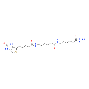 Biotin-XX hydrazide
