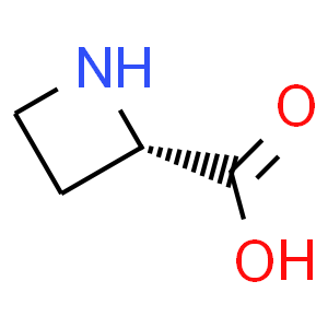(S)-2-羧基环丁胺