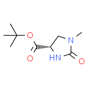 (4S)-1-甲基-2-氧代咪唑啉-4-甲酸叔丁酯