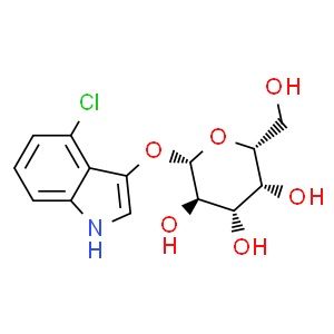 4-氯-3-吲哚基-β-D-吡喃半乳糖苷