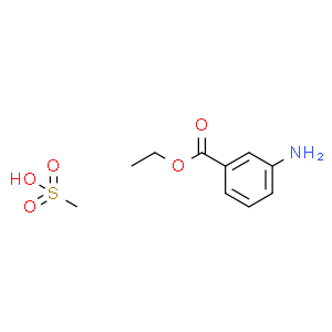 3-氨基苯甲酸乙酯 甲磺酸酯