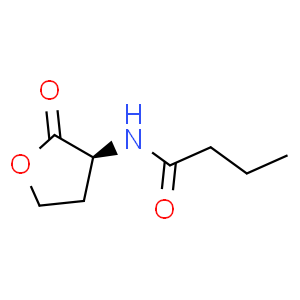 N-丁酰基-L-高丝氨酸内酯