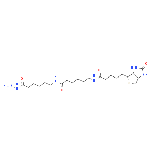 Biotin-XX hydrazide