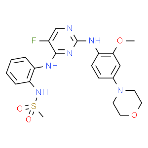 CZC-25146