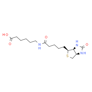 N-(+)-生物素酰基-6-氨基己酸