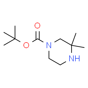 3,3-二甲基哌嗪-1-甲酸叔丁酯