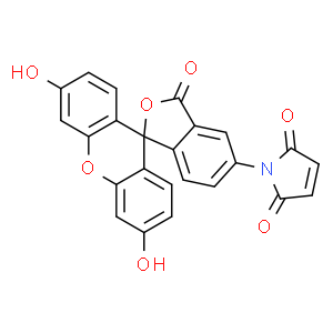 N-(5-荧光素基)马来酰亚胺