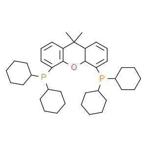 4,5-双(二环己基膦)-二苯并吡喃衍生物