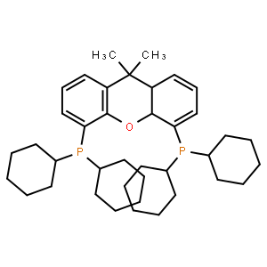 4,5-双(二环己基膦)-二苯并吡喃衍生物