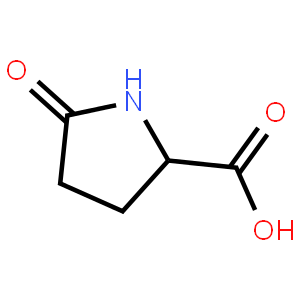 L-焦谷氨酸