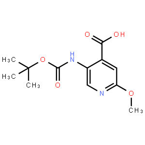 5-(叔丁氧基羰基氨基)-2-甲氧基吡啶-4-羧酸