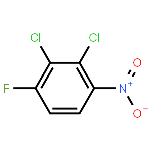 2,3-二氯-4-氟硝基苯