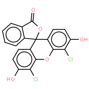 4,5-二氯荧光素