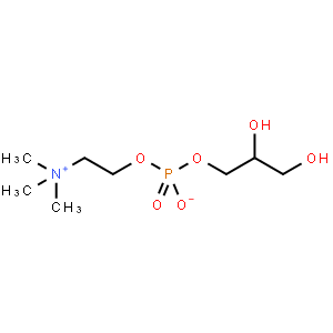 L-α-甘油磷酰胆碱