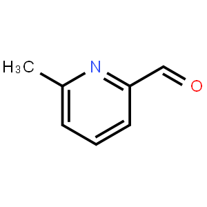 6-甲基-2-吡啶甲醛