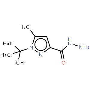 1-叔丁基-5-甲基-吡唑-3-羧肼